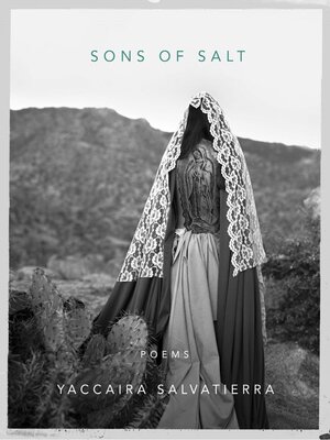 cover image of Sons of Salt